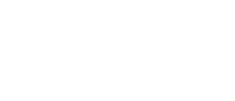 Stichting ElanArt logo — wit op donkere achtergrond